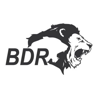 BDR Pharmaceuticals Logo